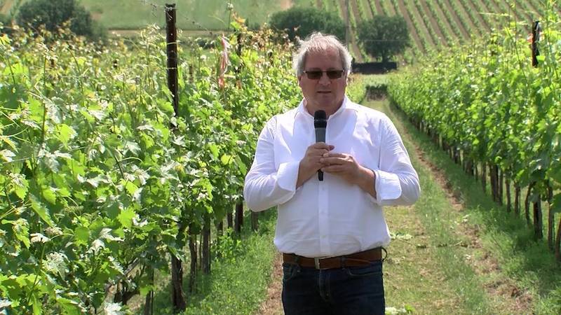 Meno plastica in campo e in cantina grazie agli scarti della produzione vitivinicola