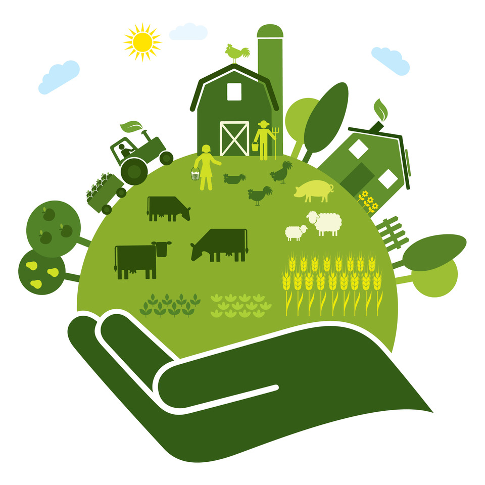 Global Food Security Index 2021: l'Irlanda è 1° Paese al mondo su 113 per sicurezza del cibo