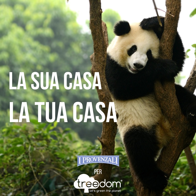 I Provenzali scendono in campo per la tutela del pianeta, rinnovando l’impegno con Treedom