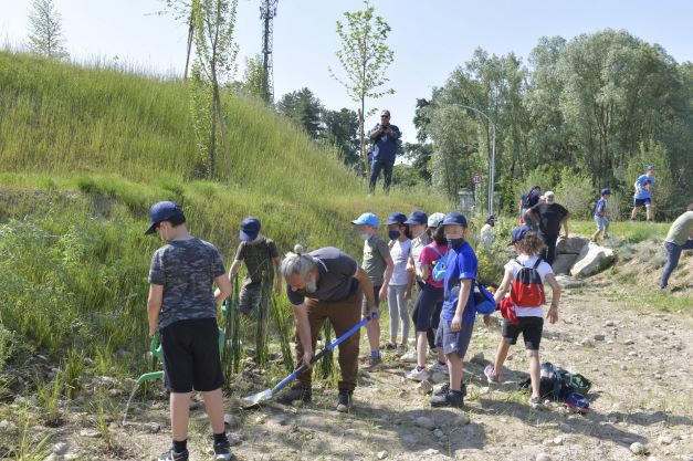 La Festa degli Alberi Goglio con gli alunni della scuola primaria di Daverio
