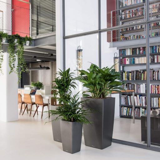 Initial celebra la National Indoor Plant Week: un inno alle piante che creano benessere