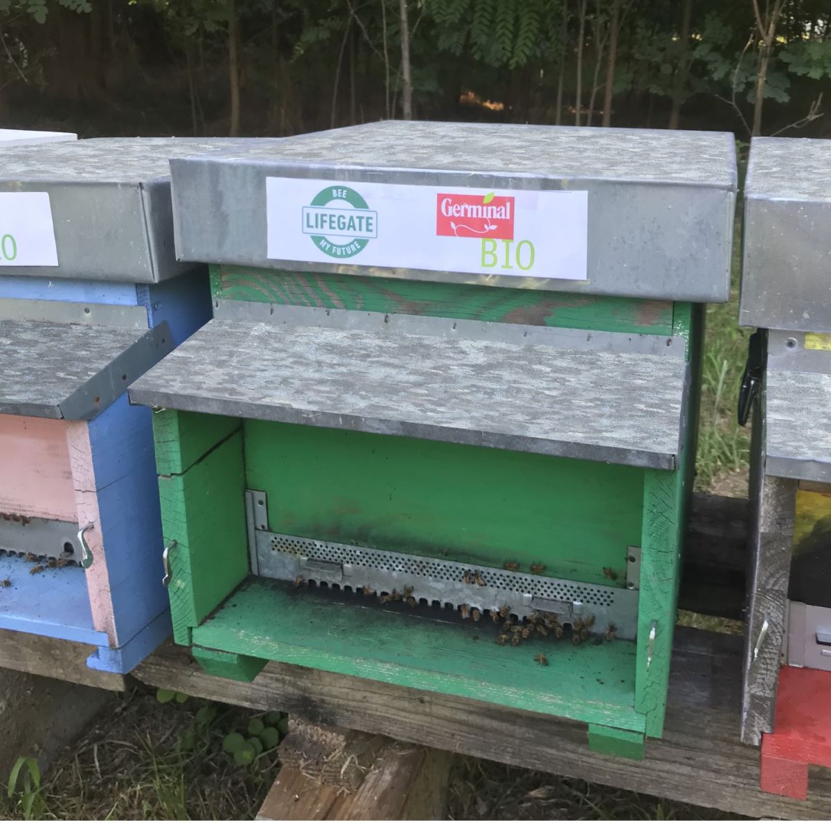 Germinal Bio con LifeGate per portare più natura e biodiversità in città