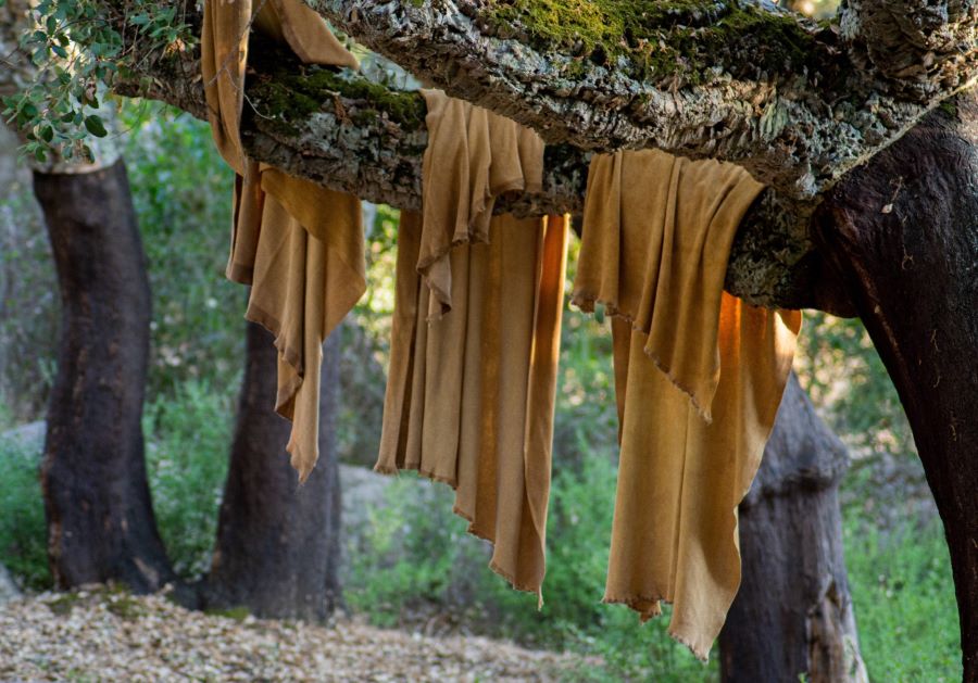 Lebiu è la prima startup che recupera gli scarti del sughero e li trasforma in bio-materiali pregiati