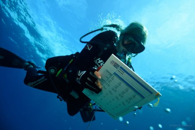 10 minuti sott'acqua per il cambiamento climatico: all'Elba il progetto Climate Change Days coinvolge i diver nella ricerca scientifica