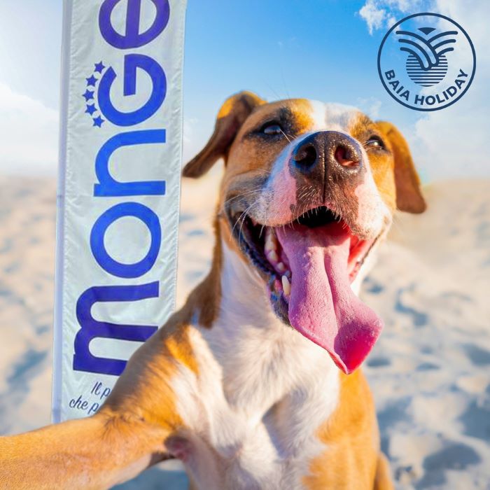 Baia Holiday e Monge: un co-marketing per gli amici a 4 zampe