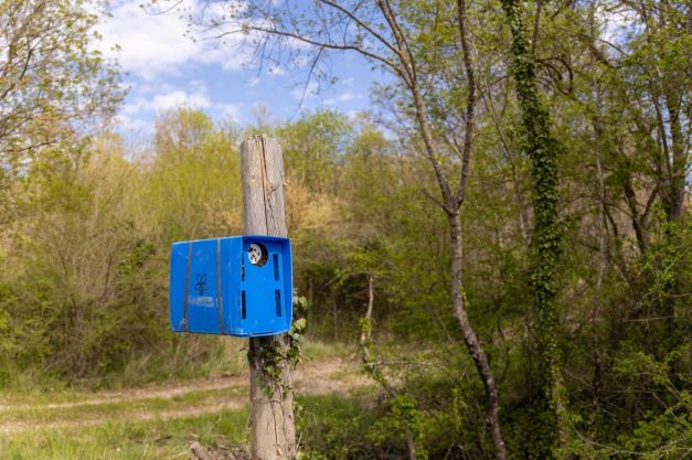 Api: un bosco in Toscana per studiare l’interazione con l’uomo