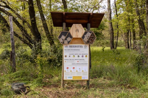 Api: un bosco in Toscana per studiare l’interazione con l’uomo