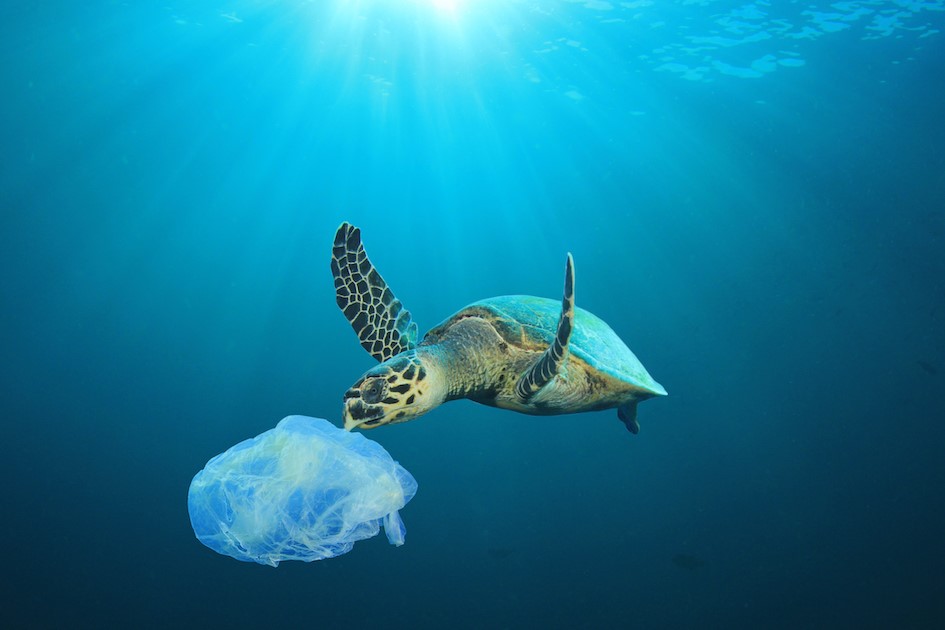L'estate green &amp; blue di Nhood per l'ambiente