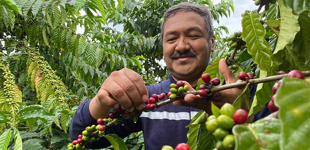 Nestlé lancia il Nescafé Plan 2030