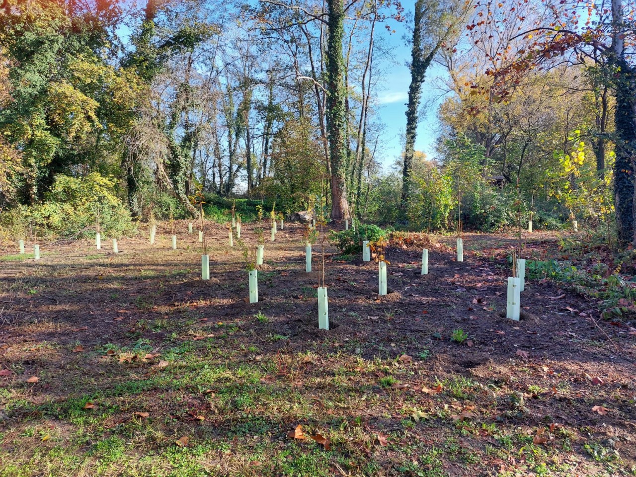 Nestlé e Federparchi: piantati 400 alberi in 4 parchi italiani grazie al supporto di cittadini e consumatori
