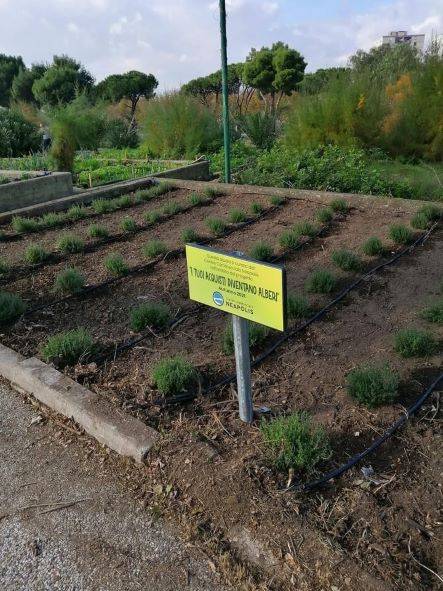 Napoli, inaugurato il nuovo Orto Sociale nel Parco Urbano di Ponticelli