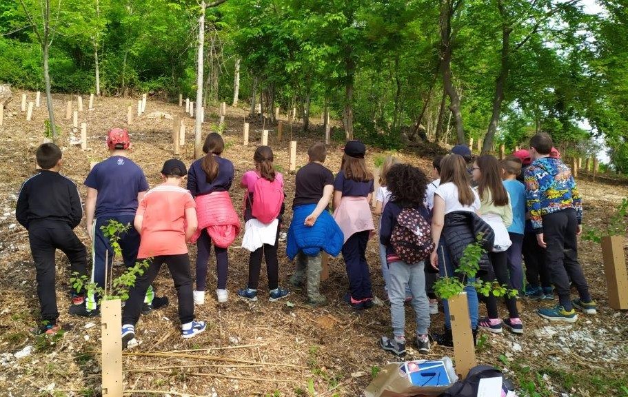 "Ancora Natura per l’Altopiano”: rinascono i boschi distrutti da Vaia in Veneto