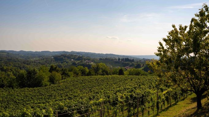 Perlage Winery aderisce a Co2alizione per impegnarsi verso la neutralità climatica
