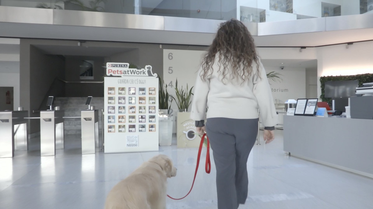 Purina festeggia la Giornata del cane in ufficio con il progetto Pets at Work