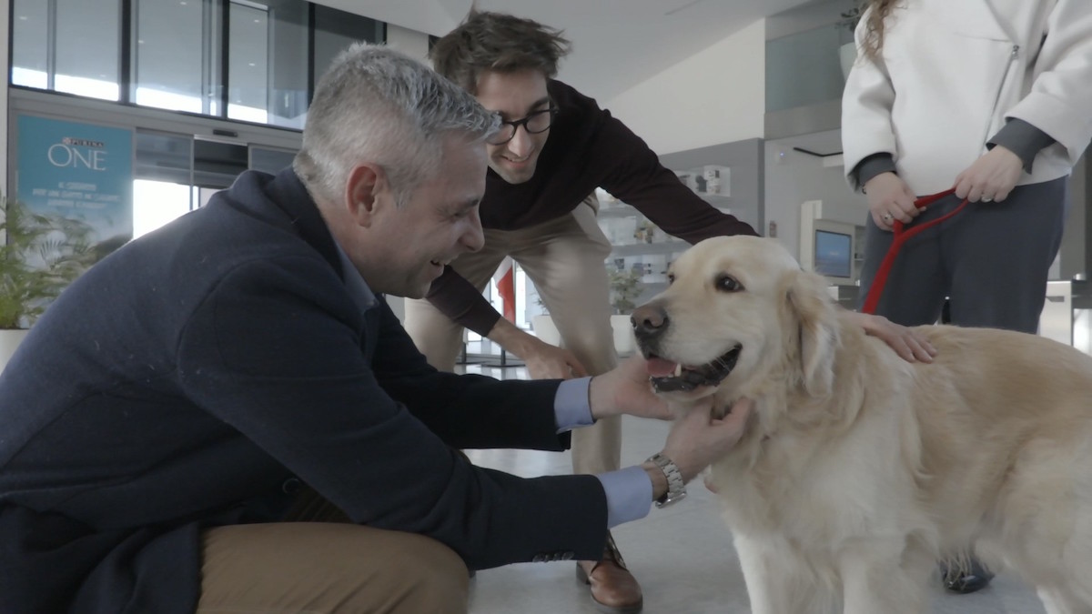 Purina festeggia la Giornata del cane in ufficio con il progetto Pets at Work