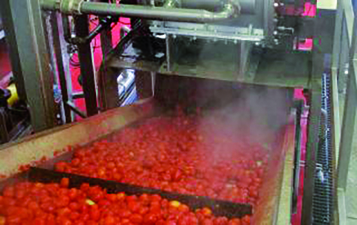 Met a Ecomondo con soluzioni a ozono per sanificazione e depurazione di acqua e aria
