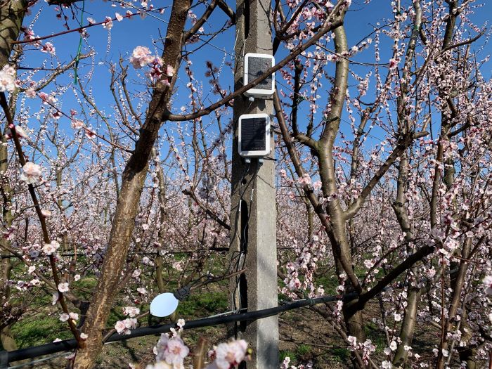 xFarm Technologies e Conserve Italia digitalizzano la filiera della frutta da industria