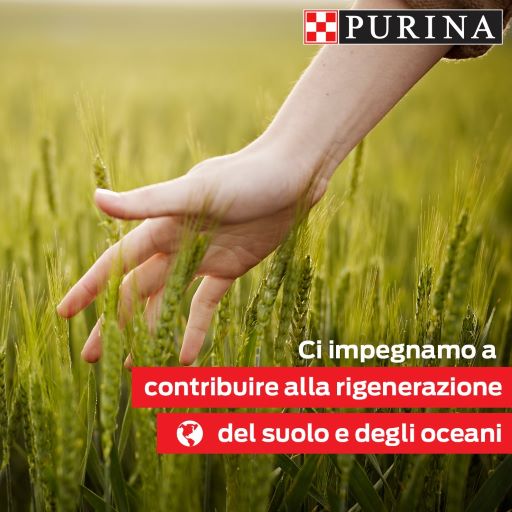 Purina si impegna a preservare l'ambiente attraverso l'agricoltura rigenerativa