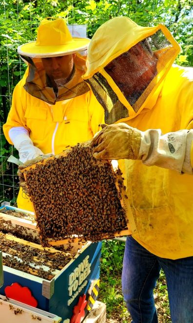 Nascono gli apiari di Raben Sittam, un nuovo passo avanti sul cammino della tutela ambientale