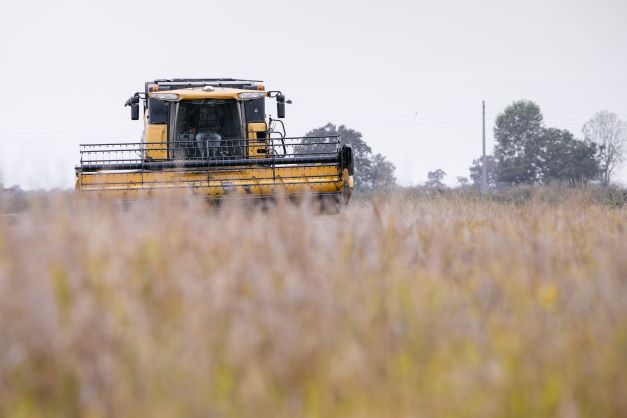 Agricoltura e sostenibilità: a Pavia nasce il riso a ridotto impatto ambientale