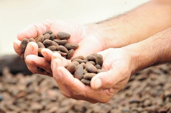 Ritter Sport traccia il 100% del cacao utilizzato per tutta la gamma, fino alle organizzazioni di produttori