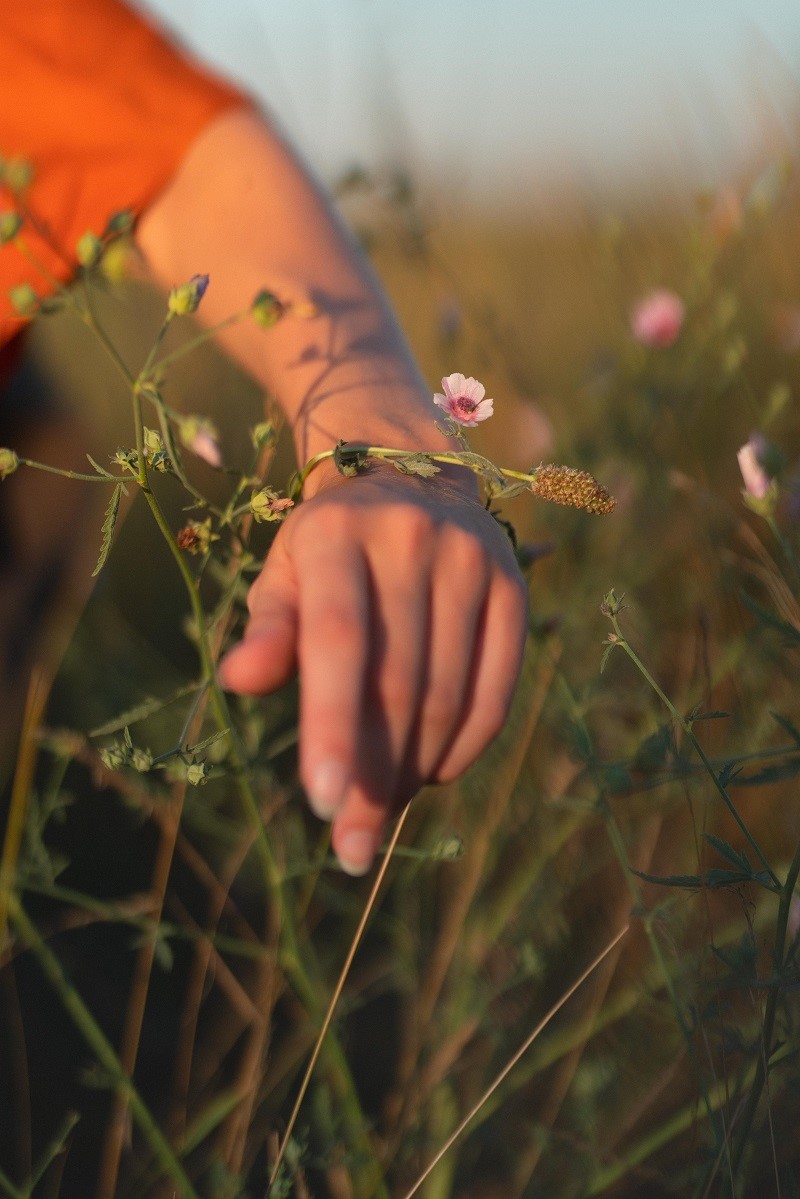 Il percorso di Mulino Bianco per la difesa della biodiversità