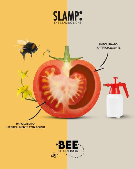 Slamp: to bee or not to be?