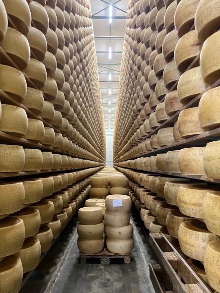 Sace e Bper Banca per il futuro green di Bresciangrana