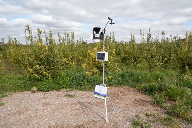 Al via il progetto A.c.q.u.a. 2 per ridurre lo spreco nella filiera agrumicola