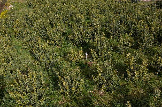 Al via il progetto A.c.q.u.a. 2 per ridurre lo spreco nella filiera agrumicola