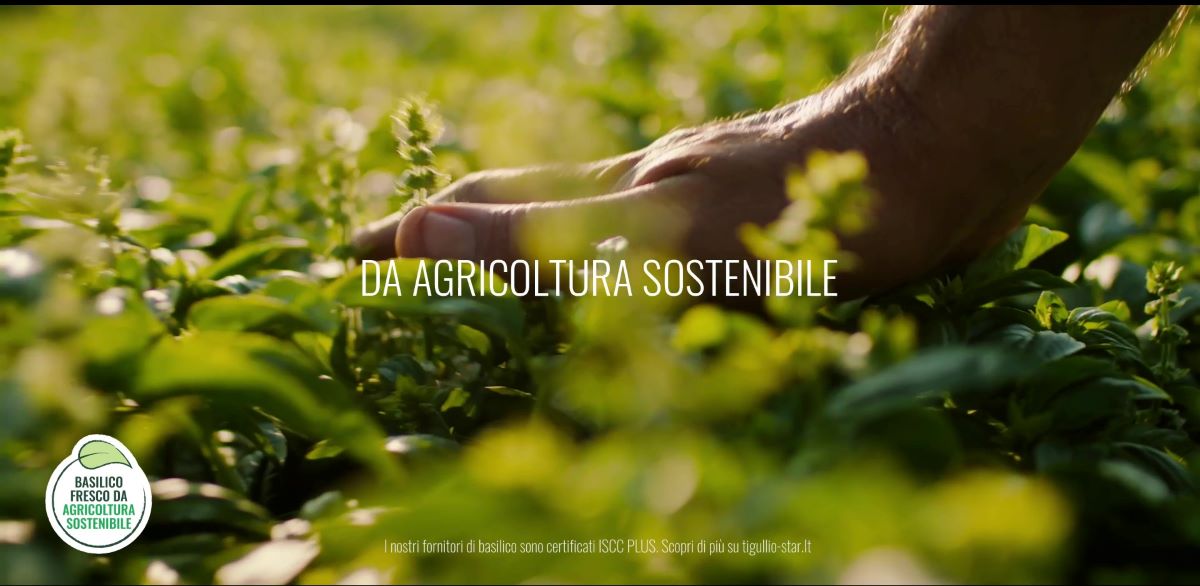 Al via un percorso di sostenibilità per il brand Tigullio che parte dal suo ingrediente più prezioso: il basilico