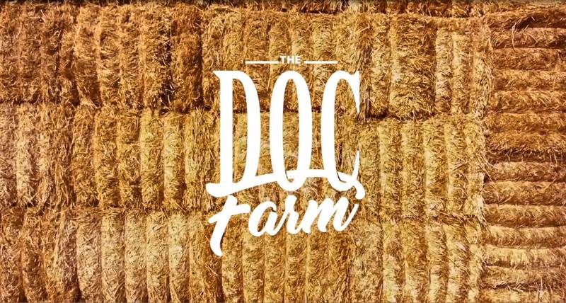 L'azienda agricola sostenibile Borlotti è protagonista di The Doc Farm