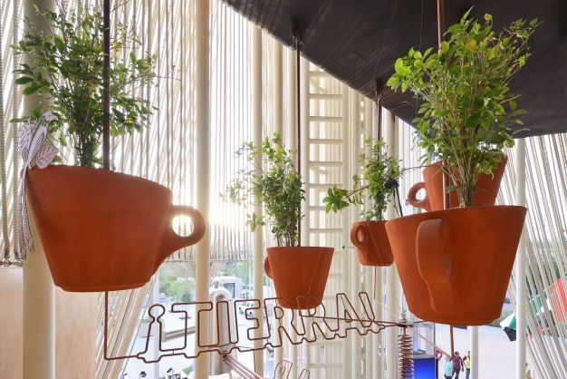Sostenibilità e innovazione al Solar Coffee Garden Lavazza a Expo Dubai 2020