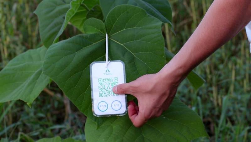 Nicolis Project celebra l’impegno per la sostenibilità: nasce Green Future Project