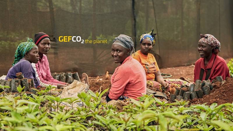 Gefco Italia e Gruppo Mercurio ricevono il premio “Il Logistico dell’Anno” per il progetto con Treedom