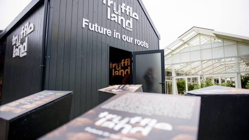 Urbani Tartufi presenta la sua filiera produttiva, la tartuficultura