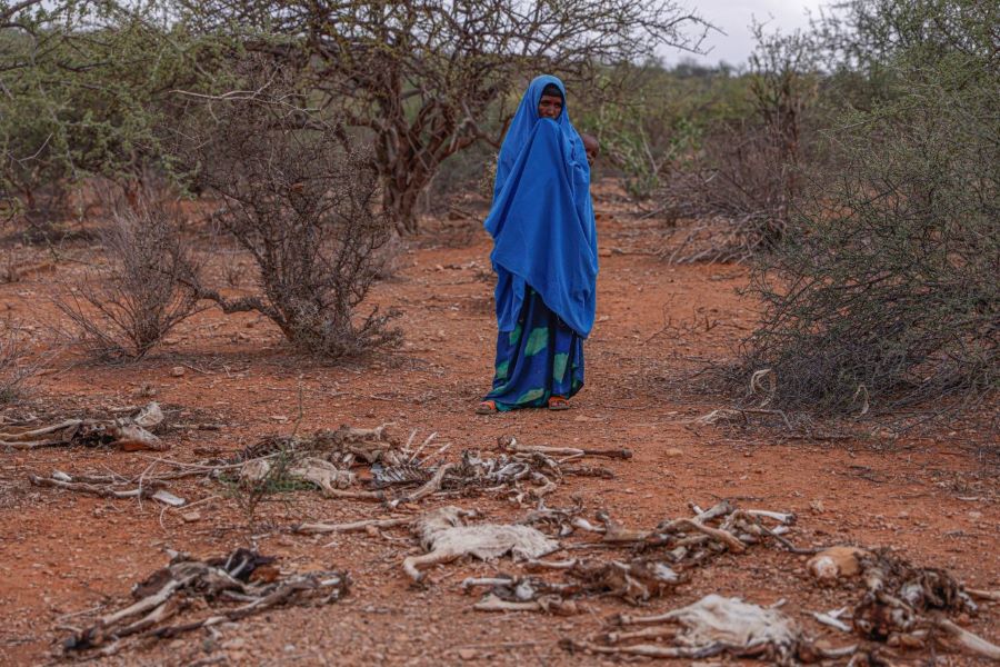 Unhcr lancia la campagna "La crisi climatica è un'emergenza umanitaria"