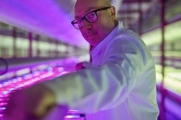 Nasce Future Farming District, uno dei maggiori siti di vertical farming al mondo