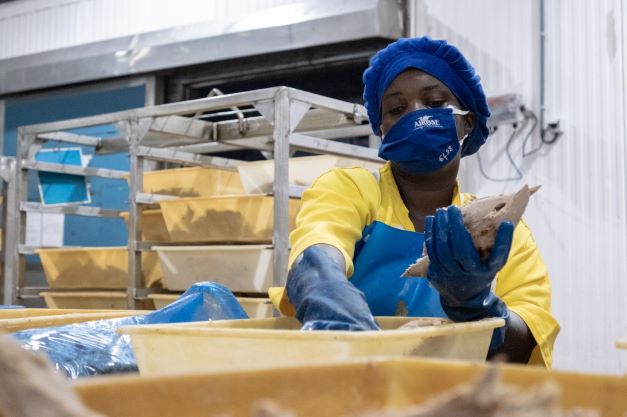 Quando fare impresa in Africa salva dalla speculazione energetica