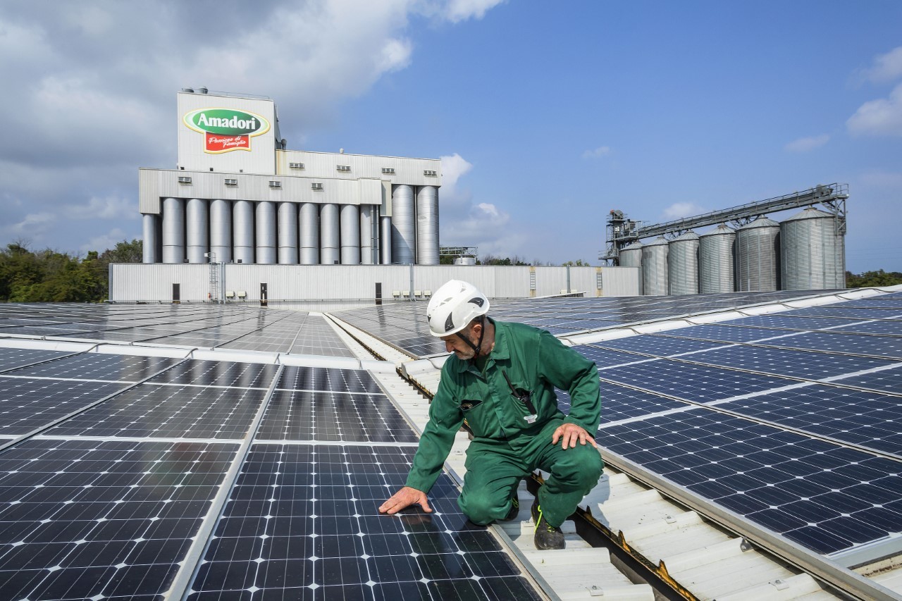 Green Retail  - Amadori pubblica il report di Sostenibilità 2021 