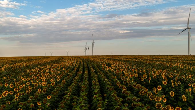 Amazon stabilisce un nuovo record relativo alla quantità di energia rinnovabile acquistata da una singola azienda in un anno