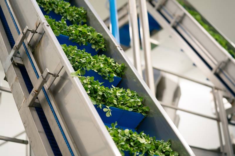 L'impegno green di Almeda: dal packaging alle energie rinnovabili