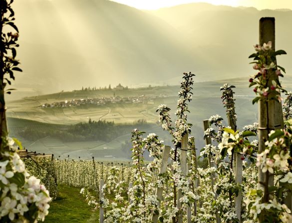 Non solo green: Leni’s punta alla sostenibilità a 360°