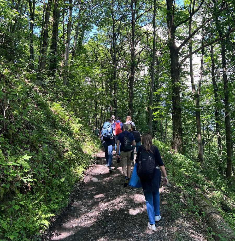 Conad e Chep, insieme per un progetto di gestione forestale in Bassa Valle Camonica