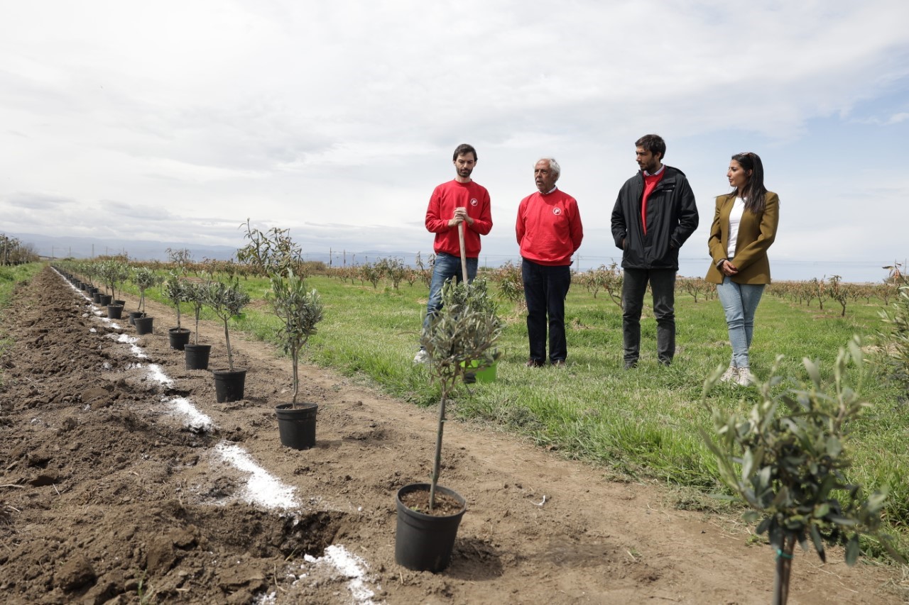 Fire compensa il 100% delle emissioni di Co2 e pianta 100 alberi per sostenere l’agricoltura locale