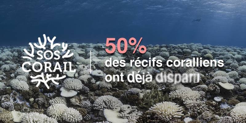 Amundi e Accor vanno in aiuto degli oceani