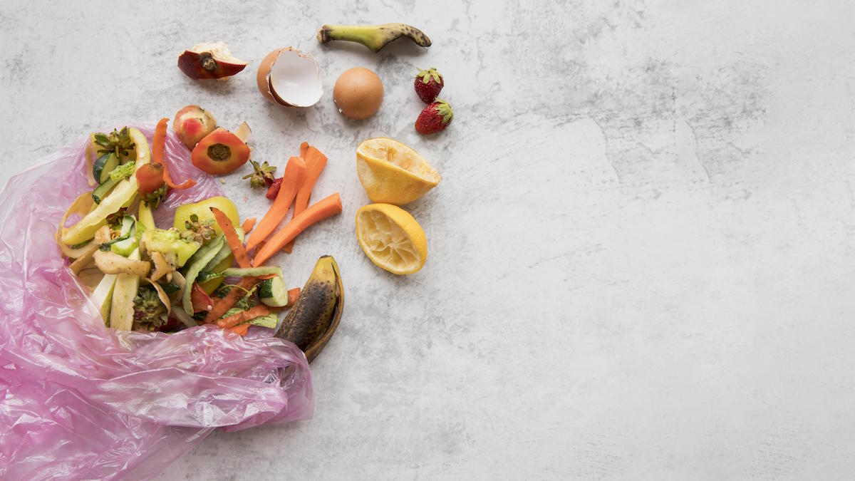 Planeat salva in tre anni 42 tonnellate di cibo, 106 di Co2 e 25 milioni di litri d’acqua 