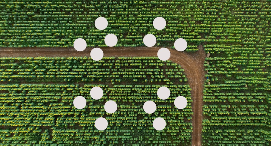 IBM Cloud Carbon Calculator aiuta le aziende a raggiungere obiettivi di sostenibilità e a ridurre le emissioni di gas serra
