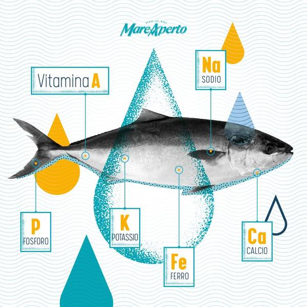 Mare Aperto sostiene l’importanza di un ridotto consumo di sale