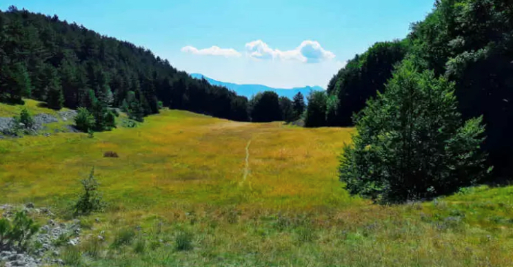 Inwit e Legambiente: infrastrutture digitali per il monitoraggio ambientale e della biodiversità 